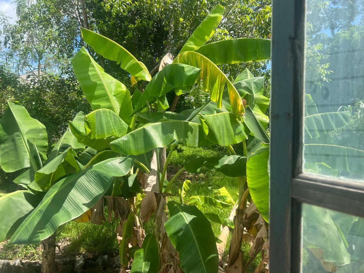 Garden Penthouse Appartement Nassau Buitenkant foto
